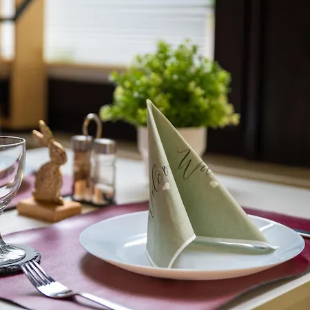 Hirsch Stadt Apartment 1 - Terrasse Mit Flussblick - Parkplatz 아파트 *
