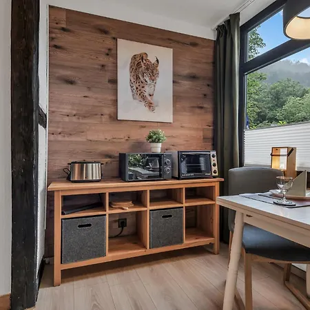 Hirsch Stadt 1 - Terrasse Mit Flussblick - Parkplatz Apartamento