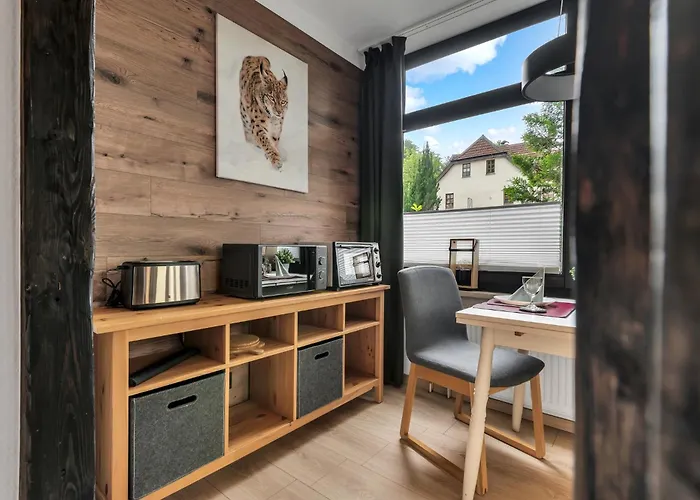 アパート Hirsch Stadt 1 - Terrasse Mit Flussblick - Parkplatz *